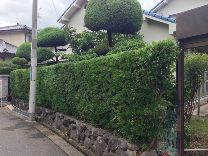 ビフォーアフター施工例 – D様邸