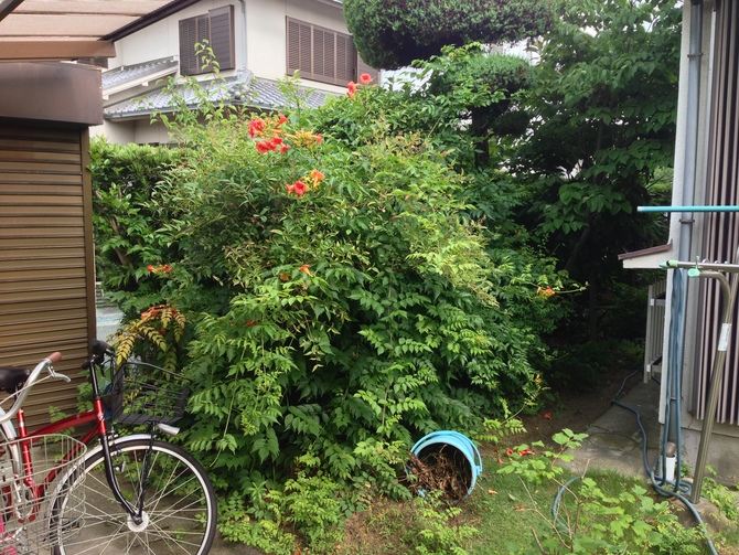 ビフォーアフター施工例 – D様邸